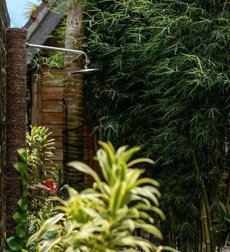 Villa The Padang Pool Sleeps 7 Located In Jungle 5 Mins From Uluwatu's Famous Beaches